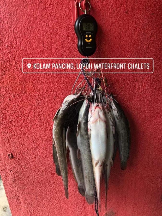 Lopoh Waterfront Budget Chalets Villa Hulu Langat Bagian luar foto