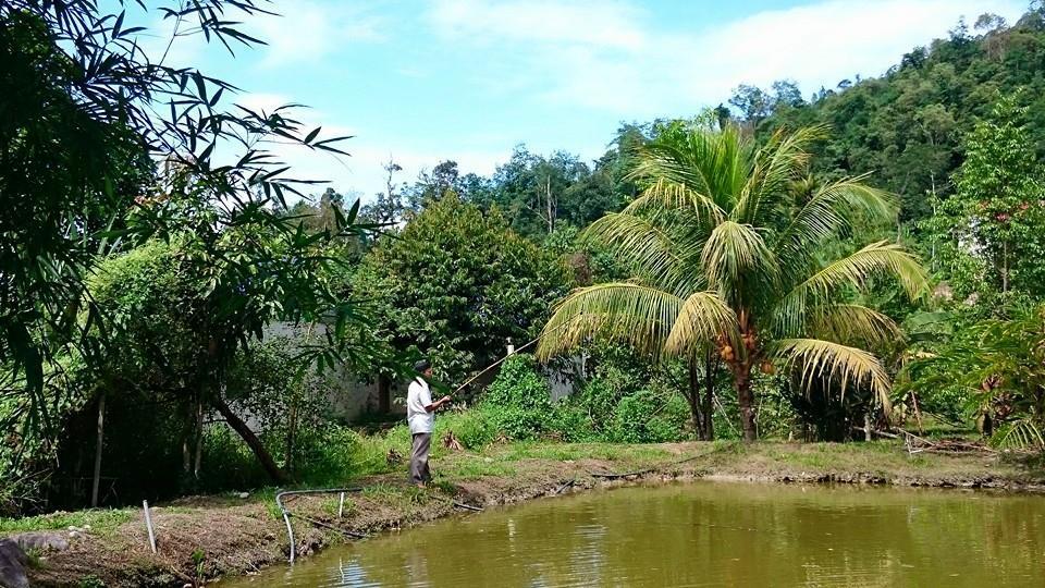 Lopoh Waterfront Budget Chalets Villa Hulu Langat Bagian luar foto